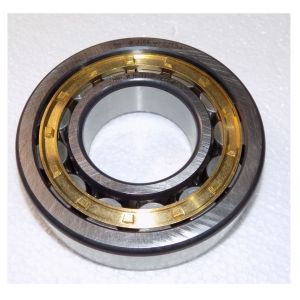 Подшипник (50х110х27) виброузла TSS-CP-350/Bearing 23NJ310EM1, №19