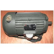 Электродвигатель TSS GW 40-42A/(YH100L2-4; N 3,0 kw, U 380 V, n 1400 об/мин) 3KW-4 MOTOR, №1 (50019018)