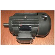 Электродвигатель TSS GQ 40A/(YH100L-2, N 3.0kw, U=380V, n=2800Об/мин) DALI-3KW-2 HORIZONTAL MOTOR (GQ40A) №51, (50019075)