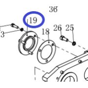 Крышка подшипника вала ведомого TSS-WP265YH/Bearing cover / shut-off, №19 (CNP330Y003-19)