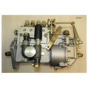 Насос топливный высокого давления Ricardo K4100DS/Fuel injector pump assembly (495Z-13100)