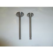 Клапана выпускной/впускной для YSD 490Q (Exhaust/Intake valve for YSD490Q,YSD490Q-03015/14)