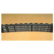 Ремень приводной WP4.1D100E200 /Belt ,1000440251B, AV17х1218Le