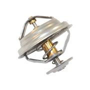 Термостат/Water termostate