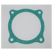 Прокладка входного окна впускного коллектора Ricardo R4105ZDS1; TDK 56-66 4LT/Gasket